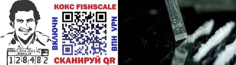 Cocaine FishScale  Купить закладки  Кострома 